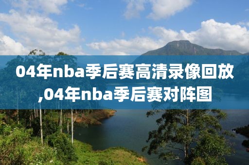 04年nba季后赛高清录像回放,04年nba季后赛对阵图