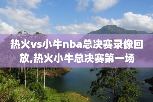 热火vs小牛nba总决赛录像回放,热火小牛总决赛第一场