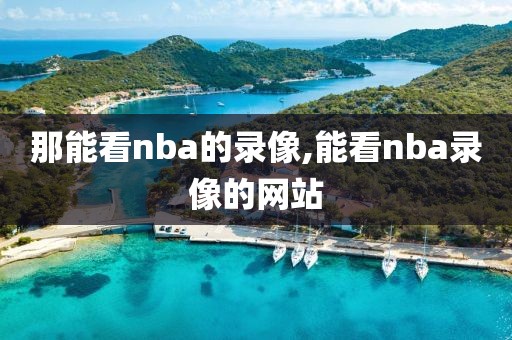 那能看nba的录像,能看nba录像的网站