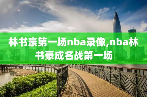 林书豪第一场nba录像,nba林书豪成名战第一场