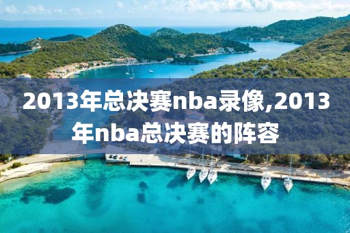 2013年总决赛nba录像,2013年nba总决赛的阵容