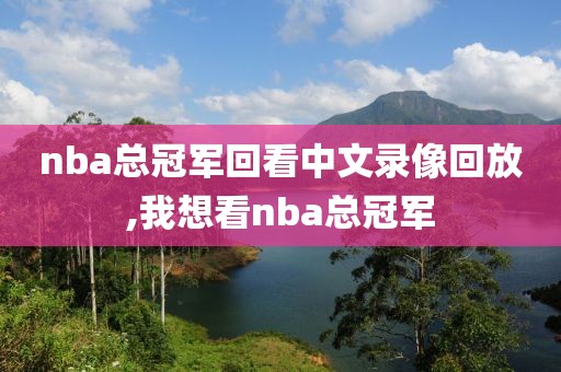 nba总冠军回看中文录像回放,我想看nba总冠军