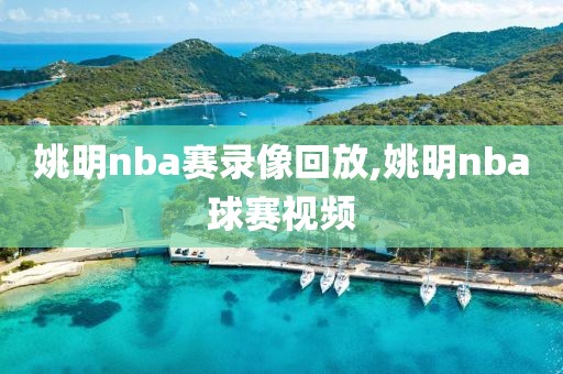 姚明nba赛录像回放,姚明nba球赛视频