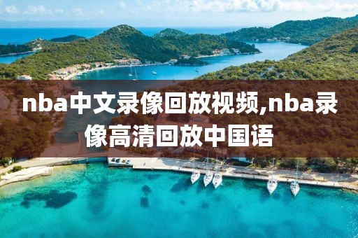 nba中文录像回放视频,nba录像高清回放中国语