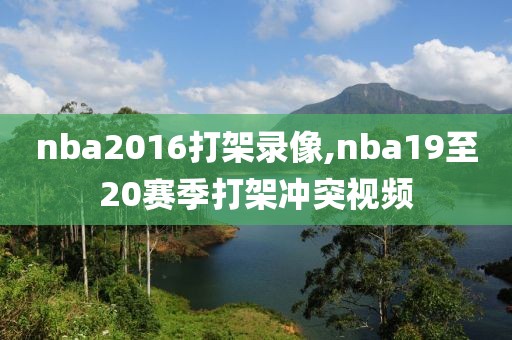 nba2016打架录像,nba19至20赛季打架冲突视频