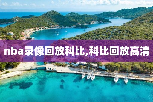 nba录像回放科比,科比回放高清