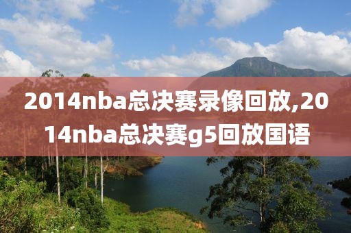 2014nba总决赛录像回放,2014nba总决赛g5回放国语