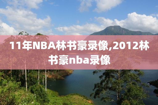11年NBA林书豪录像,2012林书豪nba录像