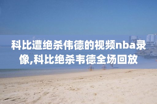 科比遭绝杀伟德的视频nba录像,科比绝杀韦德全场回放
