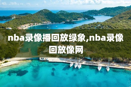 nba录像播回放绿象,nba录像回放像网
