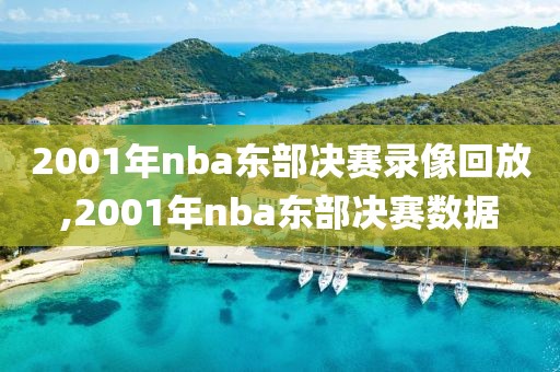 2001年nba东部决赛录像回放,2001年nba东部决赛数据