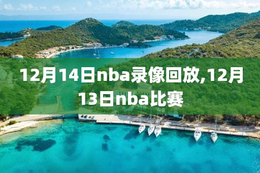 12月14日nba录像回放,12月13日nba比赛