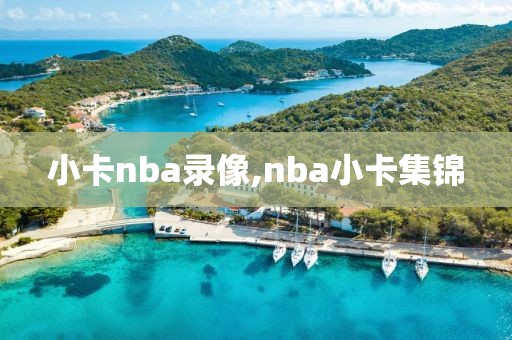 小卡nba录像,nba小卡集锦
